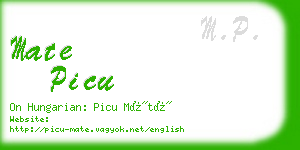 mate picu business card